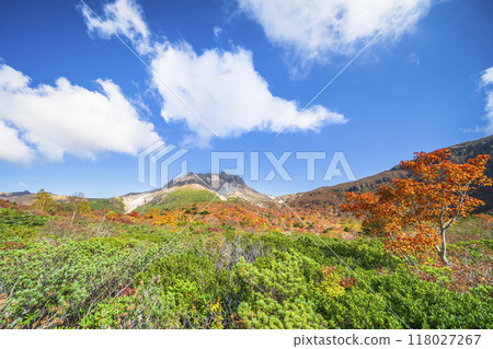 那須山的紅葉在藍天的襯托下熠熠生輝[栃木縣那須鹽原市] 118027267