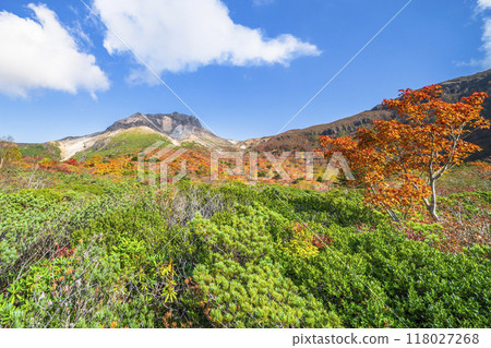 A spectacular autumn spot in Tochigi: Autumn foliage at Mount Nasu (Mount Chausu) [Nasushiobara City, Tochigi Prefecture] 118027268