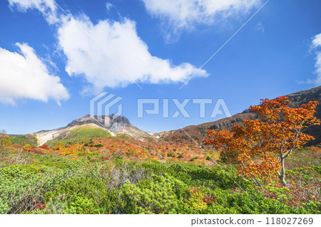 The autumn leaves of Mount Nasu (Mt. Chausu) shine against the blue sky [Nasushiobara City, Tochigi Prefecture] 118027269