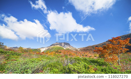 那須山的紅葉在藍天的襯托下熠熠生輝[栃木縣那須鹽原市] 118027270