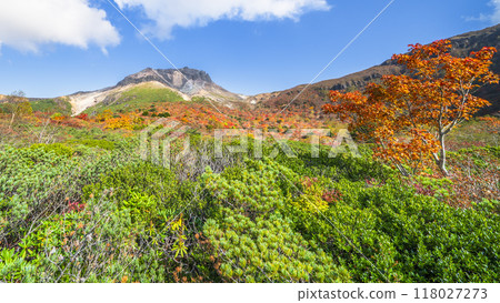 栃木縣的絕美秋景：那須山的紅葉【栃木縣那須鹽原市】 118027273