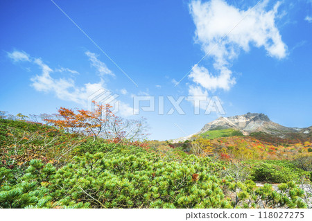 The autumn leaves of Mount Nasu (Mt. Chausu) shine against the blue sky [Nasushiobara City, Tochigi Prefecture] 118027275