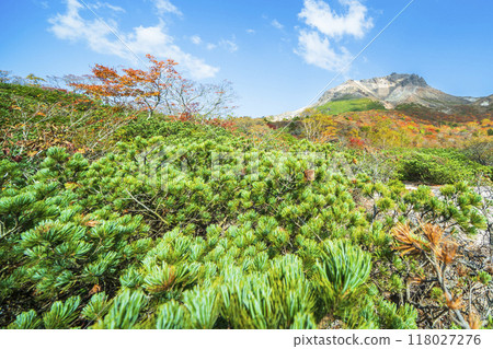 從「姥平」眺望那須山（茶須岳）的紅葉【栃木縣那須鹽原市】 118027276