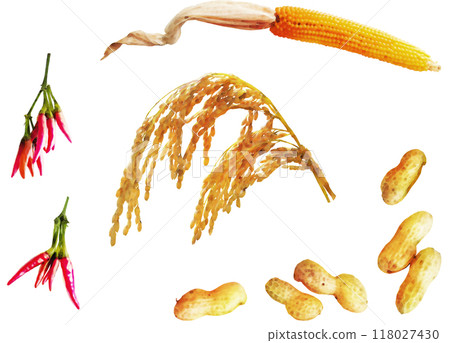 Harvest illustration material set 1 Harvest illustration material set 1 118027430