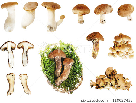 秋天的味道插畫素材集(蘑菇) 秋天的味道插畫素材集(蘑菇) 118027433