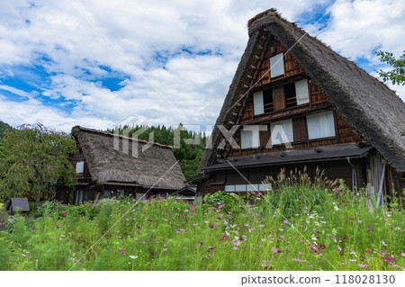 Japan's original scenery "Shirakawago" 118028130