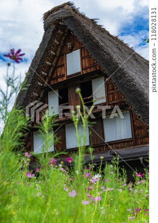 Japan's original scenery "Shirakawago" Japan's original scenery "Shirakawago" 118028131