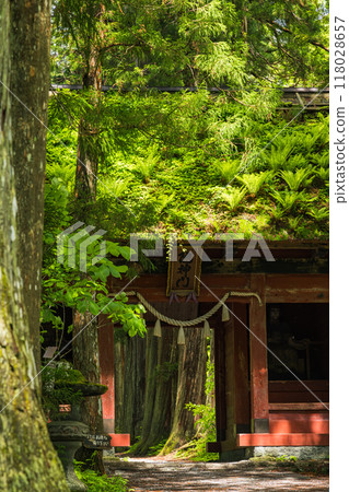 The inner shrine approach and Zuishinmon gate of Togakushi Shrine in Nagano City, Nagano Prefecture, Japan The inner shrine approach and Zuishinmon gate of Togakushi Shrine in Nagano City, Nagano Prefecture, Japan 118028657
