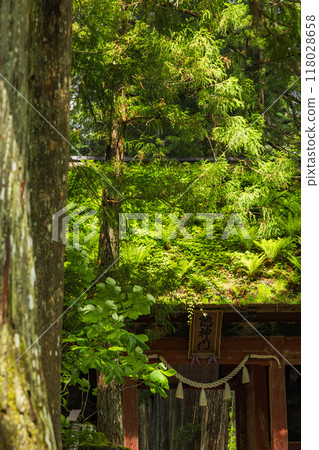 The inner shrine approach and Zuishinmon gate of Togakushi Shrine in Nagano City, Nagano Prefecture, Japan The inner shrine approach and Zuishinmon gate of Togakushi Shrine in Nagano City, Nagano Prefecture, Japan 118028658