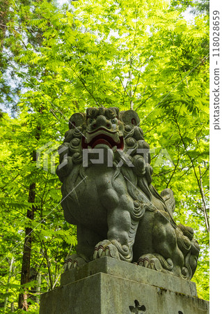 A guardian lion statue along the approach to the inner shrine of Togakushi Shrine in Nagano City, Nagano Prefecture, Japan A guardian lion statue along the approach to the inner shrine of Togakushi Shrine in Nagano City, Nagano Prefecture, Japan 118028659