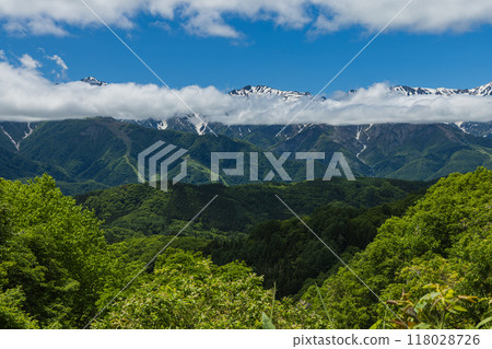 日本：從長野縣北安町白馬村白澤峠展望台看到的北阿爾卑斯山內立山山脈 118028726