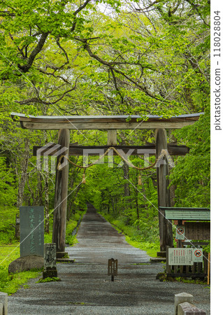 日本長野縣長野市戶隱神社的大鳥居和內殿參道 118028804