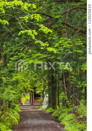 日本長野縣長野市戶隱神社的奧社參道與瑞神門 118028816