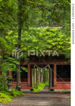 The inner shrine approach and Zuishinmon gate of Togakushi Shrine in Nagano City, Nagano Prefecture, Japan 118028822