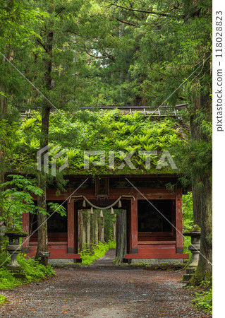 The inner shrine approach and Zuishinmon gate of Togakushi Shrine in Nagano City, Nagano Prefecture, Japan 118028823