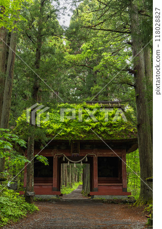 The inner shrine approach and Zuishinmon gate of Togakushi Shrine in Nagano City, Nagano Prefecture, Japan 118028827