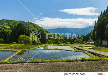 Aooni rice terraces in Hakuba Village, Kitaazumi District, Nagano Prefecture, Japan 118028862