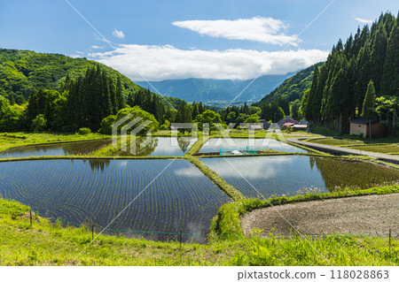 日本長野縣北安淳郡白馬村的青二梯田 118028863