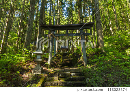 Torii gate of Ao Oni Shrine in Hakuba Village, Kitaazumi District, Nagano Prefecture, Japan 118028874