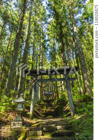Torii gate of Ao Oni Shrine in Hakuba Village, Kitaazumi District, Nagano Prefecture, Japan 118028875