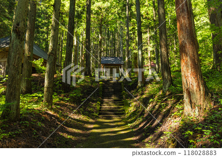日本長野縣北安曇郡白馬村的青二神社 118028883
