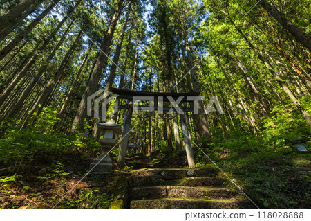 日本長野縣北安町白馬村青二神社鳥居 118028888