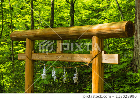 The torii gate of Iizuna Shrine along the approach to the inner shrine of Togakushi Shrine in Nagano City, Nagano Prefecture, Japan The torii gate of Iizuna Shrine along the approach to the inner shrine of Togakushi Shrine in Nagano City, Nagano Prefecture, Japan 118028996