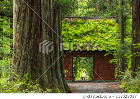 日本長野縣長野市戶隱神社內殿的杉木參道與瑞神門 118029017