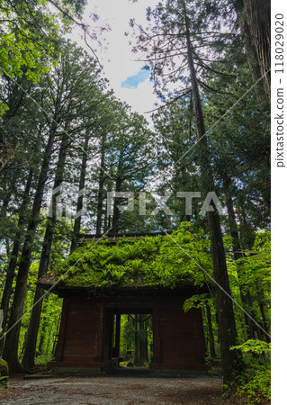 日本長野縣長野市戶隱神社的奧社參道與瑞神門 118029020