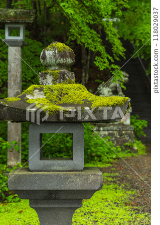 A view of the grounds of the Hokosha Shrine at Togakushi Shrine in Nagano City, Nagano Prefecture, Japan A view of the grounds of the Hokosha Shrine at Togakushi Shrine in Nagano City, Nagano Prefecture, Japan 118029037