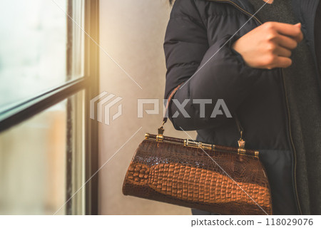 提著手提包的女人 118029076