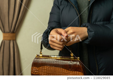 提著手提包的女人 118029085