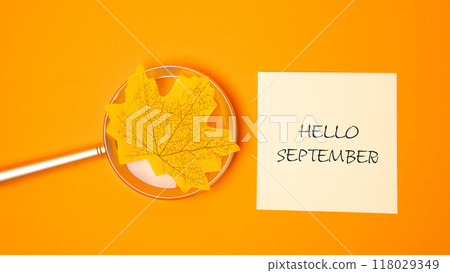 Magnifying glass with yellow leaf and note with words Hello September. Concept of beginning of autumn and new season 118029349
