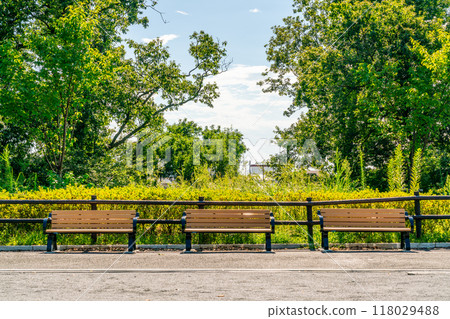 長凳在一個新鮮的綠色公園 長凳在一個新鮮的綠色公園 118029488
