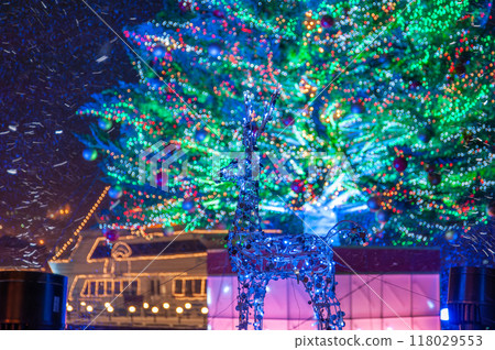 Hakodate Christmas Fantasy 118029553