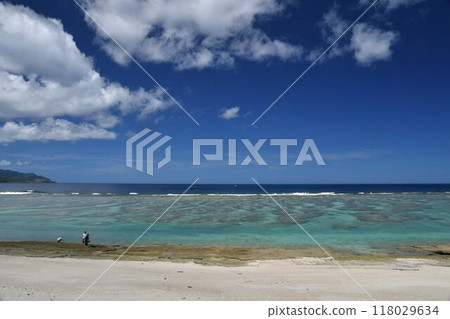 藍色的大海和天空 118029634