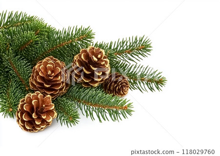 Christmas tree branch and golden cones isolated on white transparent, Xmas spruce, green fir pine twig 118029760