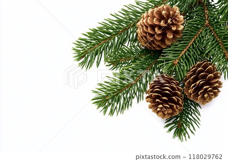 Christmas tree branch and golden cones isolated on white transparent, Xmas spruce, green fir pine twig 118029762