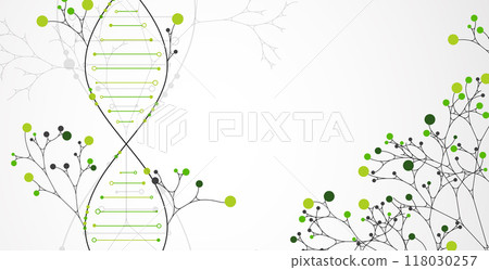 Scientific medical background with abstract image of dna molecule and tree branches. Hand drawn vector illustration. Scientific medical background with abstract image of dna molecule and tree branches. Hand drawn vector illustration. 118030257