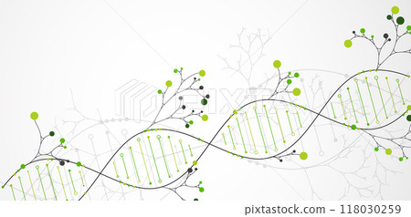 Scientific medical background with abstract image of dna molecule and tree branches. Hand drawn vector illustration. 118030259