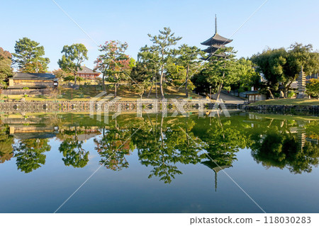 Sarusawa Pond and the five-story pagoda of Kofuku-ji Temple on an autumn morning in Nara Sarusawa Pond and the five-story pagoda of Kofuku-ji Temple on an autumn morning in Nara 118030283