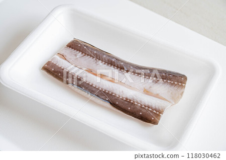 Opened conger eel Opened conger eel 118030462