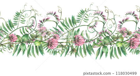 Clover sprig with pink flowers, leaves and Mouse pea climbing plant. Wildflowers seamless border, pattern. Watercolor Hand drawn illustration. Meadow field wild herbs Clipart isolated from background  Clover sprig with pink flowers, leaves and Mouse pea climbing plant. Wildflowers seamless border, pattern. Watercolor Hand drawn illustration. Meadow field wild herbs Clipart isolated from background  118030499