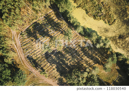 Aerial View Green Forest Deforestation Area Landscape. Top View Of New Growing Forest. European Nature From High Attitude In Summer Season. Drone View. Bird's Eye View Aerial View Green Forest Deforestation Area Landscape. Top View Of New Growing Forest. European Nature From High Attitude In Summer Season. Drone View. Bird's Eye View 118030540