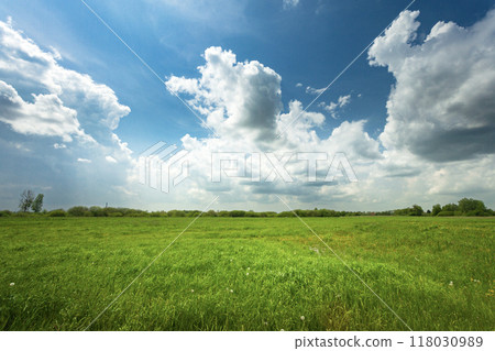 Clouds in the sky over the meadow 118030989