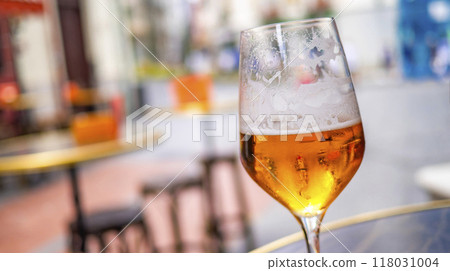 Beer Glass 118031004