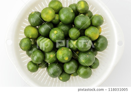 Shikikan oranges in a colander 118031005
