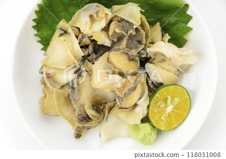 Sasae沒有生魚片 Sasae沒有生魚片 118031008