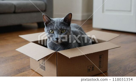 A cat (Russian Blue) getting into a cardboard box in the living room 118031354