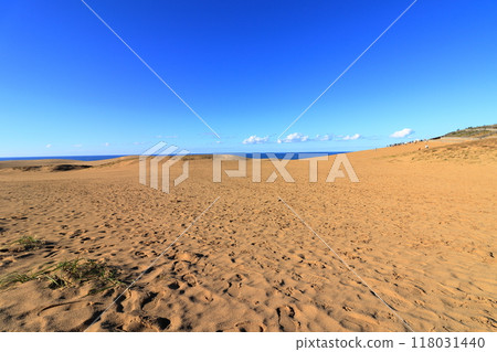 鳥取沙丘 美麗的沙景《鳥取》 鳥取沙丘 美麗的沙景《鳥取》 118031440